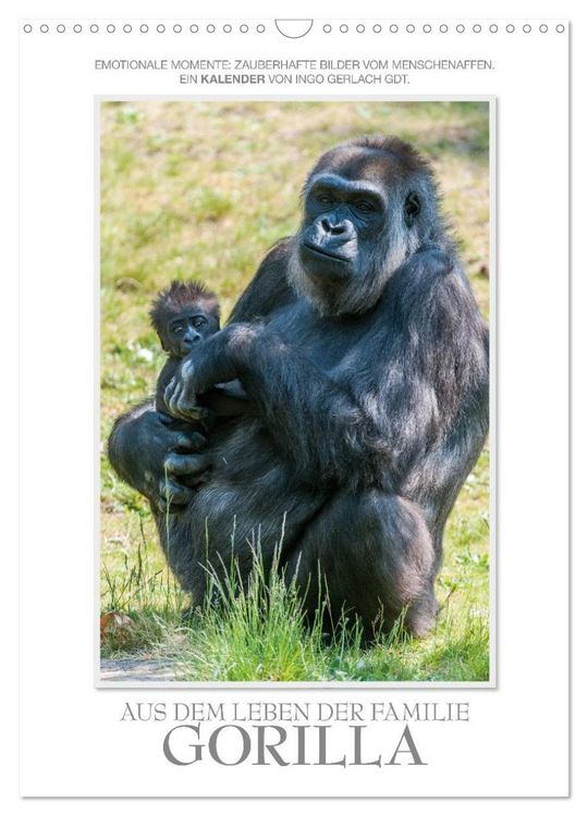 Produktbild: Emotionale Momente: Aus dem Leben der Familie Gorilla. (Wandkalender 2026 DIN A3 hoch), CALVENDO Monatskalender