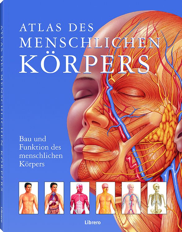 Produktbild: Atlas des menschlichen K&ouml;rpers