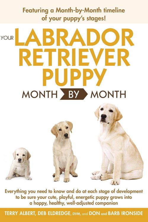 Produktbild: Your Labrador Retriever Puppy Month By Month
