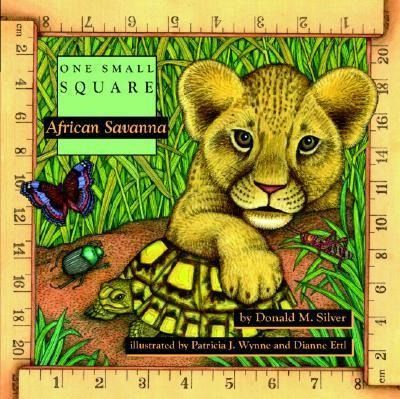 Produktbild: African Savanna