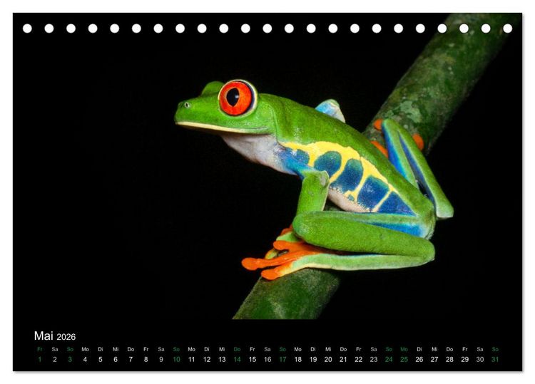 Produktbild: Costa Rica - Faszination Fr&ouml;sche (Tischkalender 2026 DIN A5 quer), CALVENDO Monatskalender