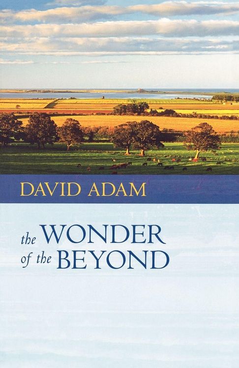 Produktbild: The Wonder of the Beyond