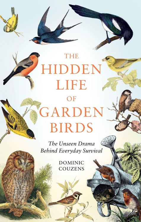 Produktbild: The Hidden Life of Garden Birds