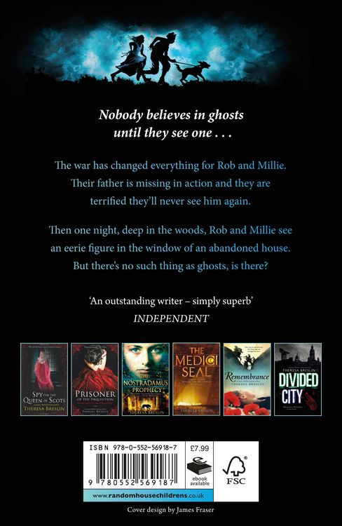 Produktbild: Ghost Soldier
