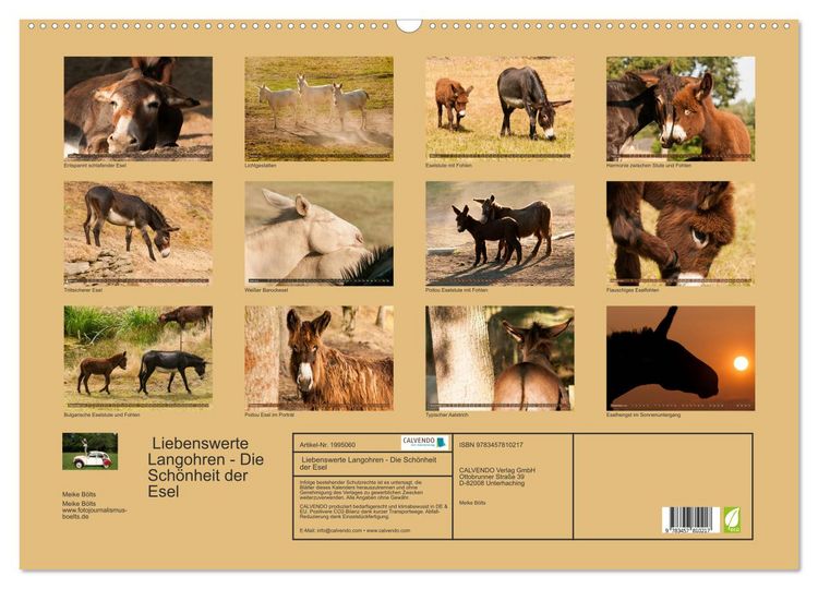Produktbild: Liebenswerte Langohren - Die Sch&ouml;nheit der Esel (Wandkalender 2026 DIN A2 quer), CALVENDO Monatskalender