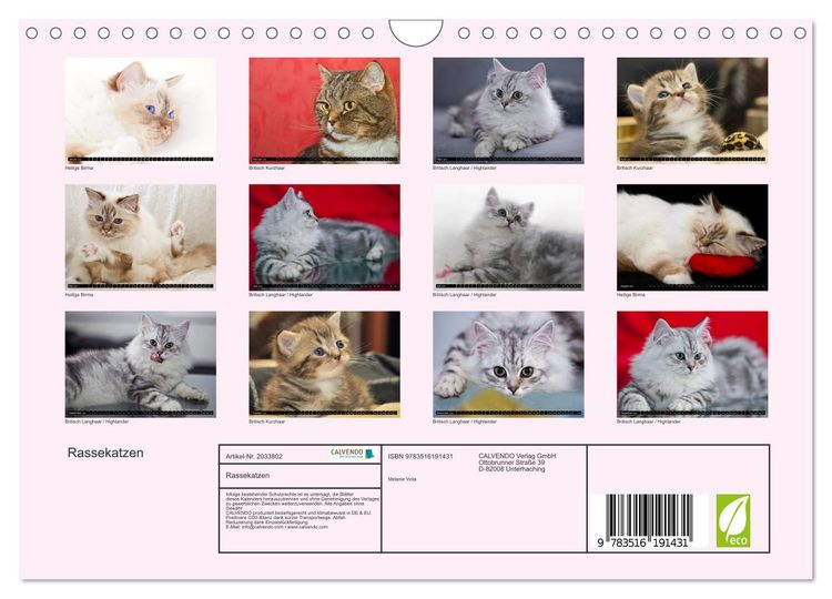 Produktbild: Rassekatzen (Wandkalender 2026 DIN A4 quer), CALVENDO Monatskalender