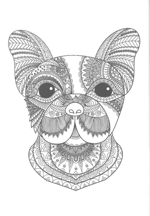 Produktbild: Sticker Malbuch - Tierwelt