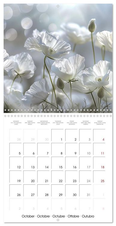 Produktbild: Magical Poppies (Wall Calendar 2026 12 &times; 12 Inch) CALVENDO 12 Month Wall Calendar