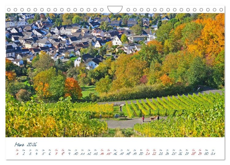Produktbild: K&ouml;nigswinter-Oberdollendorf &ndash; Traum-Trip durch farbenpr&auml;chtige Weinberge (Wandkalender 2026 DIN A4 quer), CALVENDO Monatskalender