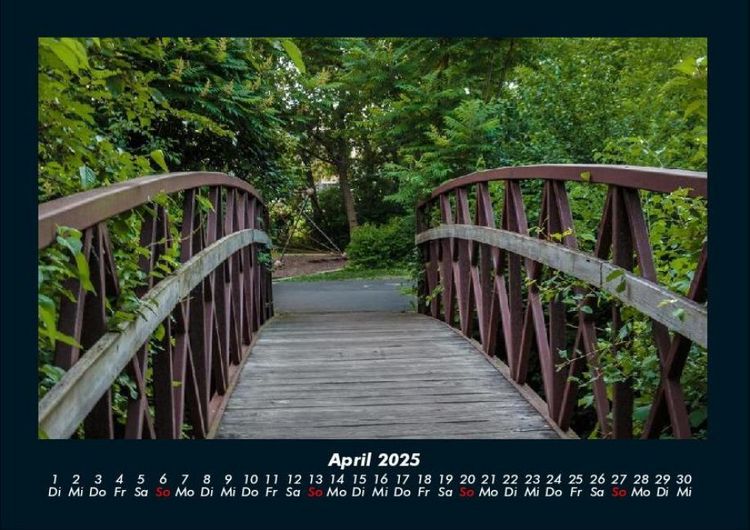 Produktbild: B&auml;ume 2025 Fotokalender DIN A4