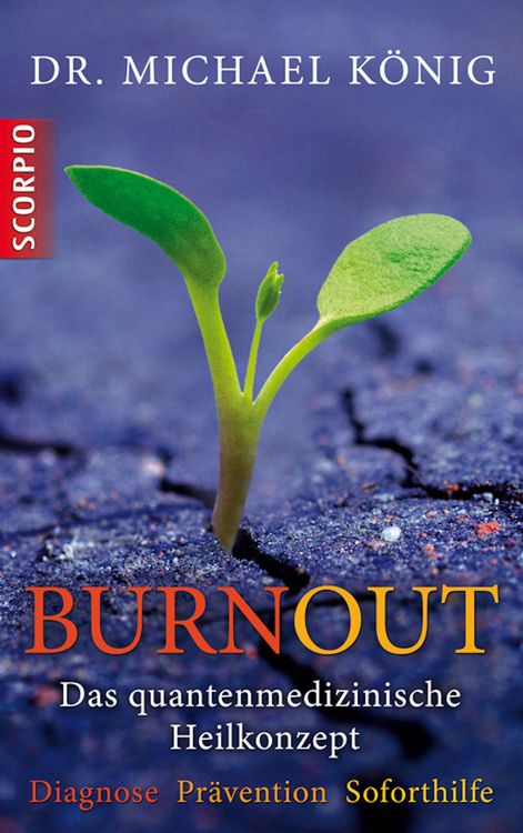 Produktbild: Burnout