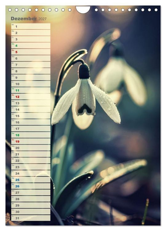Produktbild: D&uuml;nen und Buhnen (Wandkalender 2027 DIN A4 hoch), CALVENDO Monatskalender