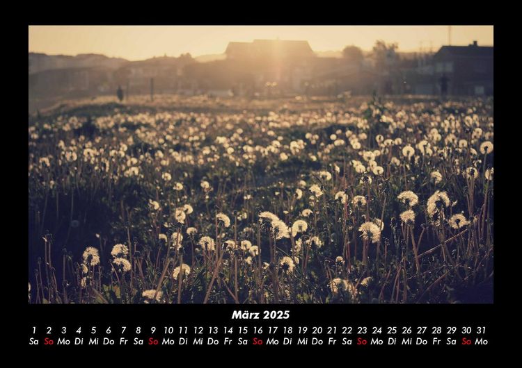 Produktbild: Bilder der Natur 2025 Fotokalender DIN A3