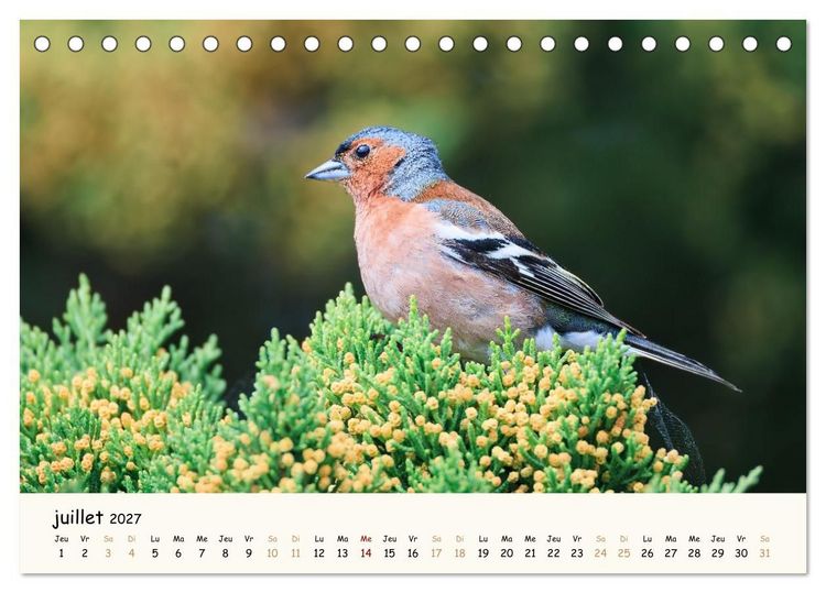 Produktbild: Les murmures de la for&ecirc;t - Regards d'animaux (Calendrier de bureau 2027 DIN A5 vertical), CALVENDO calendrier mensuel