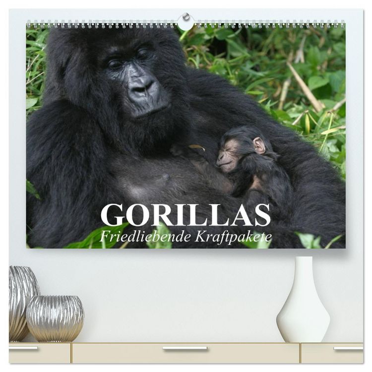 Produktbild: Gorillas. Friedliebende Kraftpakete (hochwertiger Premium Wandkalender 2026 DIN A2 quer), Kunstdruck in Hochglanz