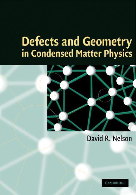 Produktbild: Defects and Geometry in Condensed Matter Physics