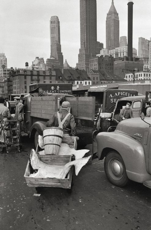 Produktbild: Elliott Erwitt&rsquo;s New York