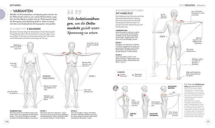 Krafttraining – Die Anatomie verstehen