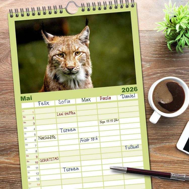 Produktbild: Familienplaner 2026 - Der Luchs - Begegnungen mit einer Raubkatze mit 5 Spalten (Wandkalender, 21 x 45 cm) CALVENDO