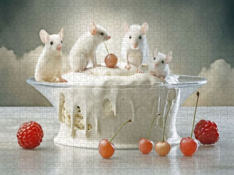 Produktbild: CALVENDO Puzzle Dessert-Tisch | 1000 Teile Lege-Gr&ouml;&szlig;e 64x48cm Foto-Puzzle f&uuml;r gl&uuml;ckliche Stunden