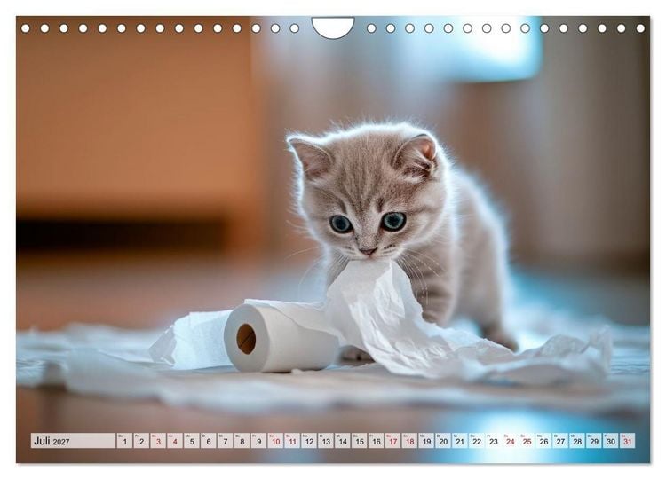 Produktbild: Kleine K&auml;tzchen - Ein Jahr voller Samtpfotenzauber (Wandkalender 2027 DIN A4 quer), CALVENDO Monatskalender