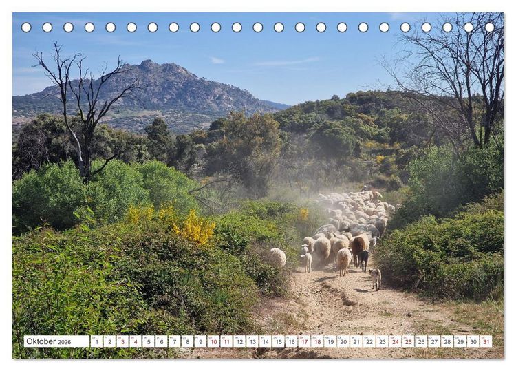 Produktbild: Camino Levante - magische Momente auf stillen Wegen (Tischkalender 2026 DIN A5 quer), CALVENDO Monatskalender
