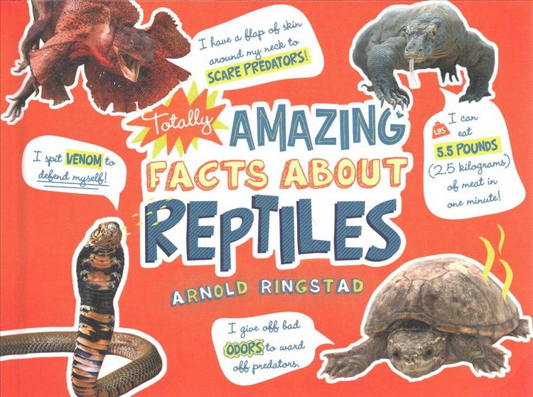 Produktbild: Totally Amazing Facts about Reptiles