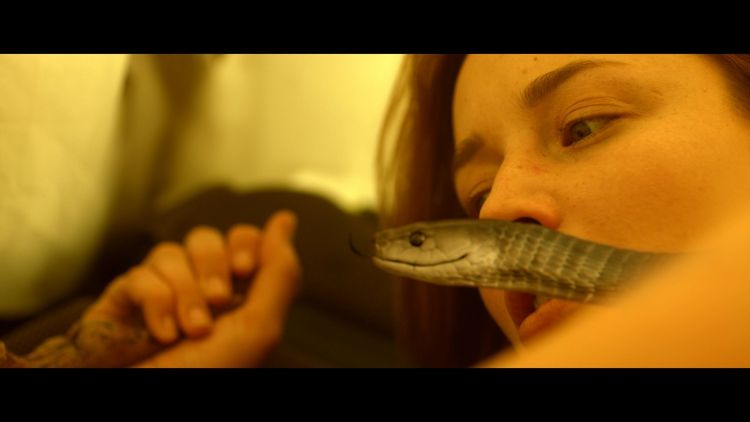 Produktbild: Don't Move - Halt still!