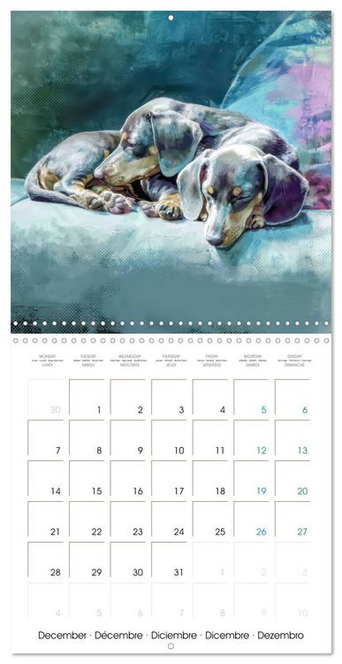 Produktbild: Dachshunds Illustrations - A hunter with humorous nature (Wall Calendar 2026 12 &times; 12 Inch) CALVENDO 12 Month Wall Calendar