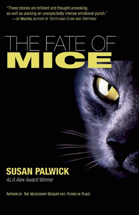Produktbild: Fate of Mice