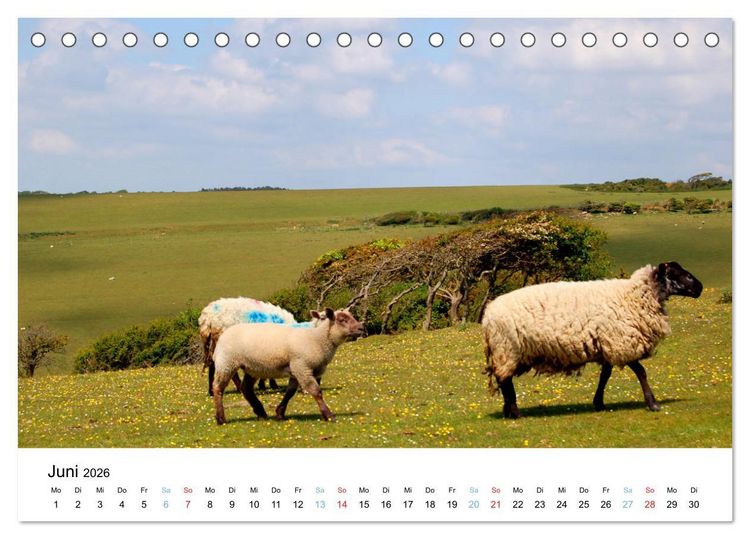 Produktbild: East Sussex (Tischkalender 2026 DIN A5 quer), CALVENDO Monatskalender