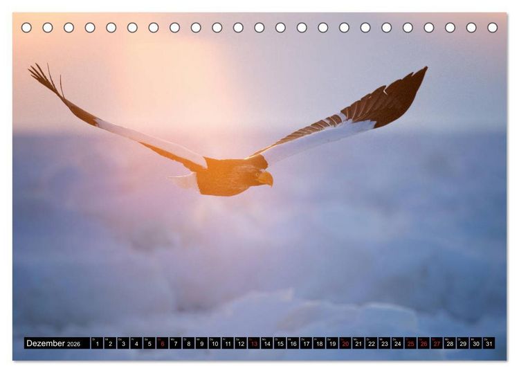 Produktbild: Japanische Vogelwelt im Winter (Tischkalender 2026 DIN A5 quer), CALVENDO Monatskalender
