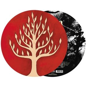 Produktbild: The Link (Picture-Vinyl)