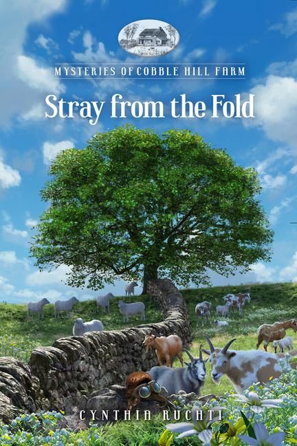 Produktbild: Stray from the Fold