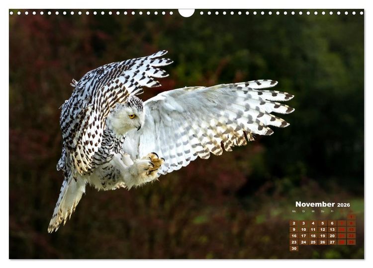 Produktbild: Tiere in freier Wildbahn by VogtArt (Wandkalender 2026 DIN A3 quer), CALVENDO Monatskalender