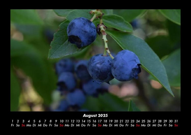 Produktbild: Obstkalender 2025 Fotokalender DIN A3