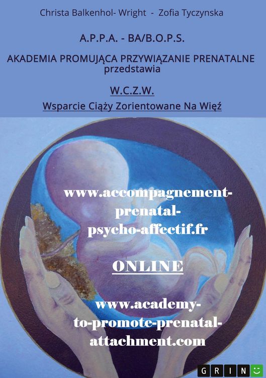 Produktbild: Wsparcie Ci&iquest;&iquest;y Zorientowane Na Wi&iquest;&iquest; (W.C.Z.W.)