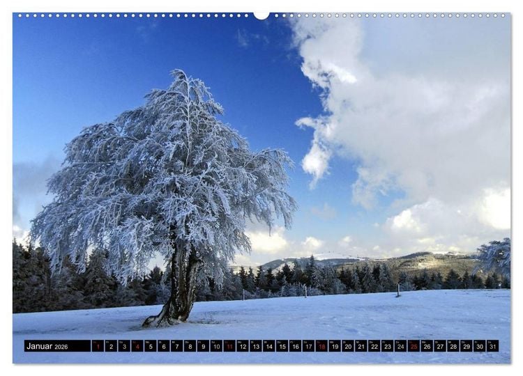 Produktbild: Romantischer Schwarzwald (Wandkalender 2026 DIN A2 quer), CALVENDO Monatskalender