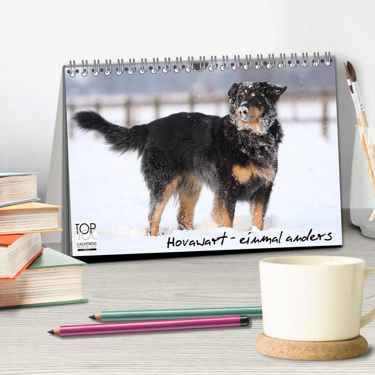 Produktbild: Hovawarte - einmal anders (Tischkalender 2026 DIN A5 quer), CALVENDO Monatskalender