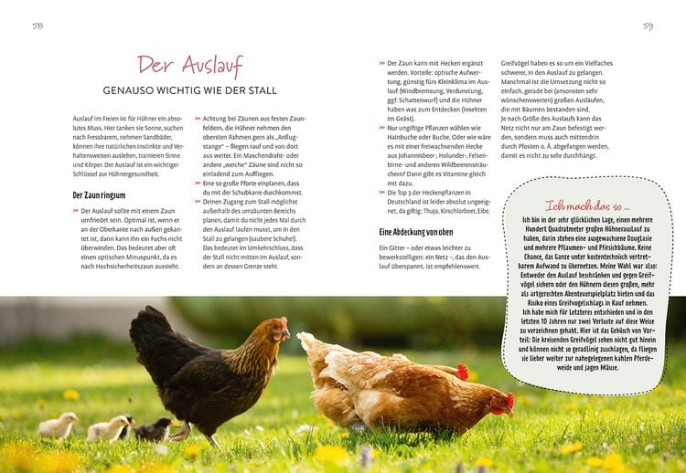 Produktbild: Im Garten gackert's