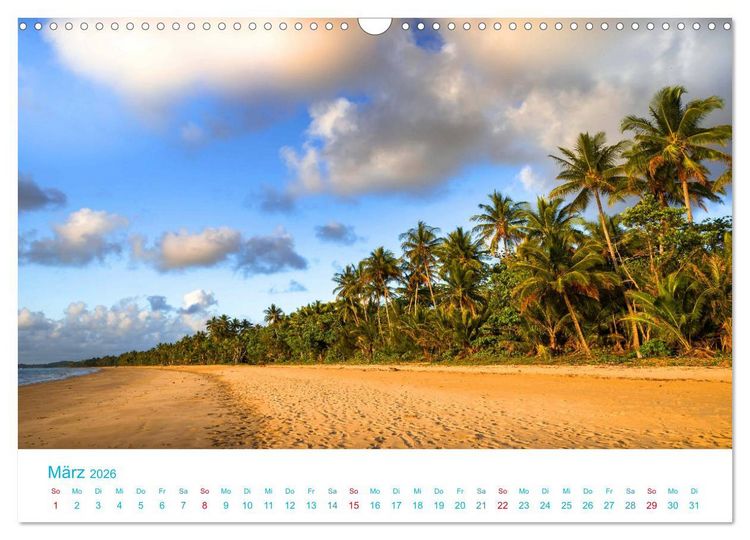 Produktbild: Unter Palmen 2026. Impressionen von den sch&ouml;nsten Str&auml;nden der Welt (Wandkalender 2026 DIN A3 quer), CALVENDO Monatskalender