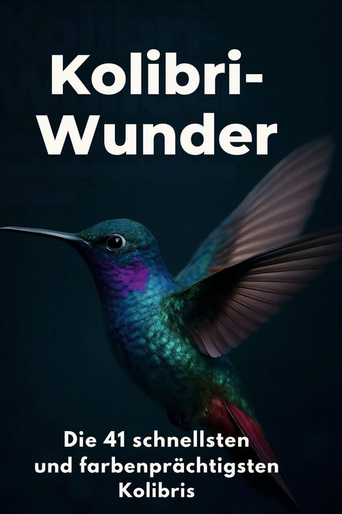 Produktbild: Kolibri-Wunder