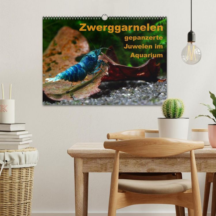 Produktbild: Zwerggarnelen - gepanzerte Juwelen im Aquarium (Wandkalender 2026 DIN A3 quer), CALVENDO Monatskalender