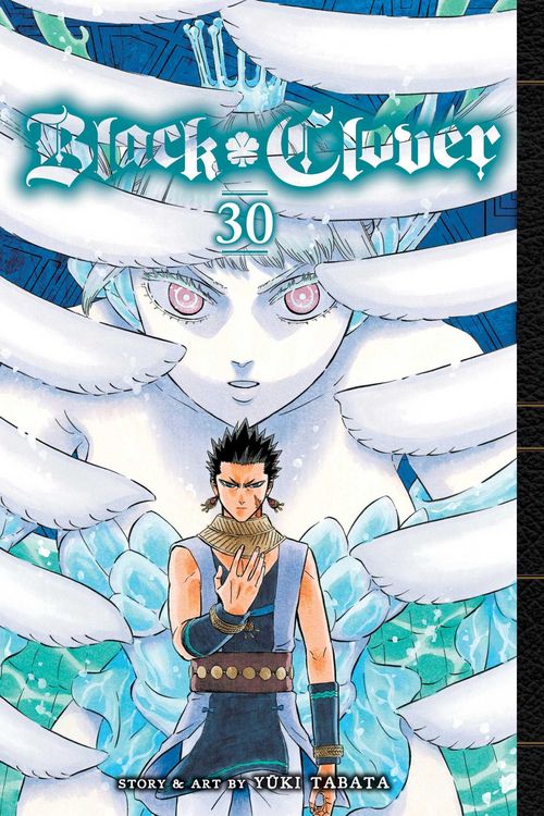 Produktbild: Black Clover, Vol. 30