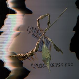 Produktbild: Trill Scan