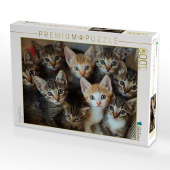 Produktbild: CALVENDO Puzzle K&auml;tzchen - kuschliger Haufen | 1000 Teile Lege-Gr&ouml;&szlig;e 64x48cm Foto-Puzzle f&uuml;r gl&uuml;ckliche Stunden
