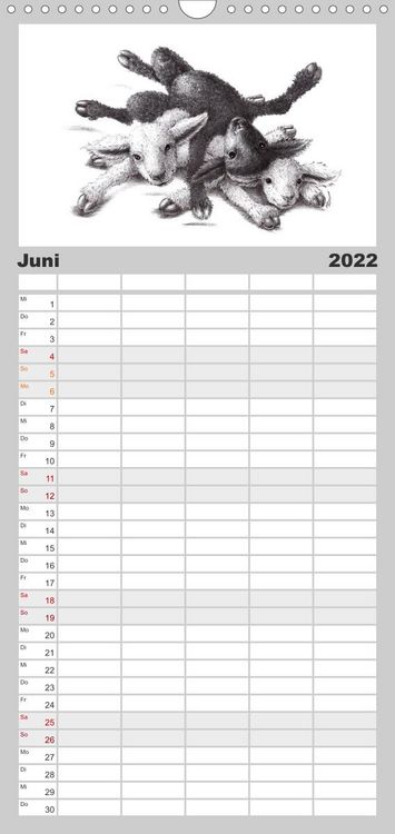 Produktbild: Familienplaner TIERONISCH (Wandkalender 2022 , 21 cm x 45 cm, hoch)