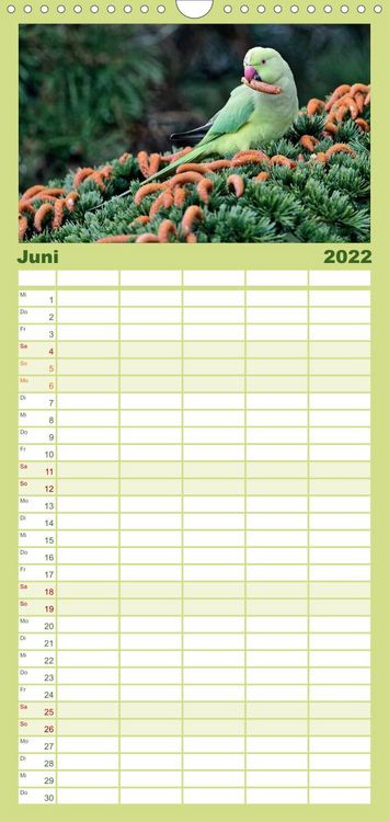 Produktbild: Familienplaner Heimische Gartenv&ouml;gel (Wandkalender 2022 , 21 cm x 45 cm, hoch)