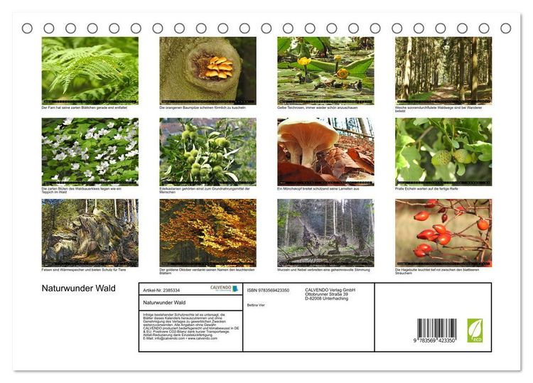 Produktbild: Naturwunder Wald (Tischkalender 2027 DIN A5 quer), CALVENDO Monatskalender