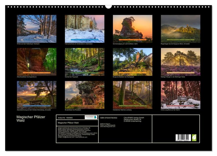 Produktbild: Magischer Pf&auml;lzer Wald (Wandkalender 2026 DIN A2 quer), CALVENDO Monatskalender